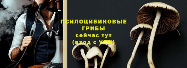не бодяженный Армянск