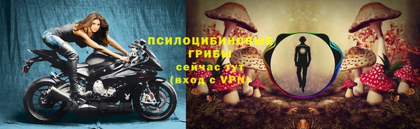 apvp Арсеньев