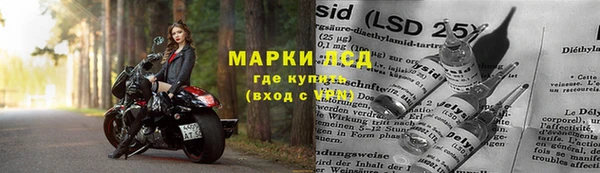 apvp Арсеньев