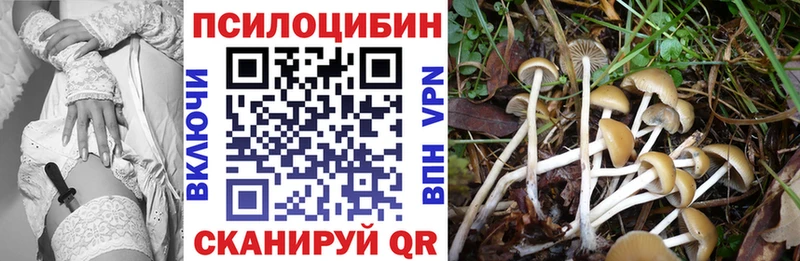 Галлюциногенные грибы GOLDEN TEACHER Фрязино