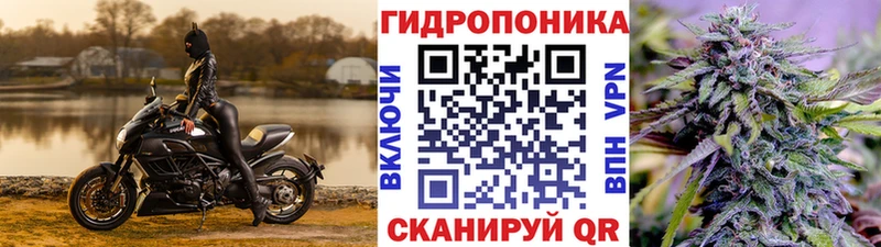 Бошки Шишки семена  мега вход  Фрязино 